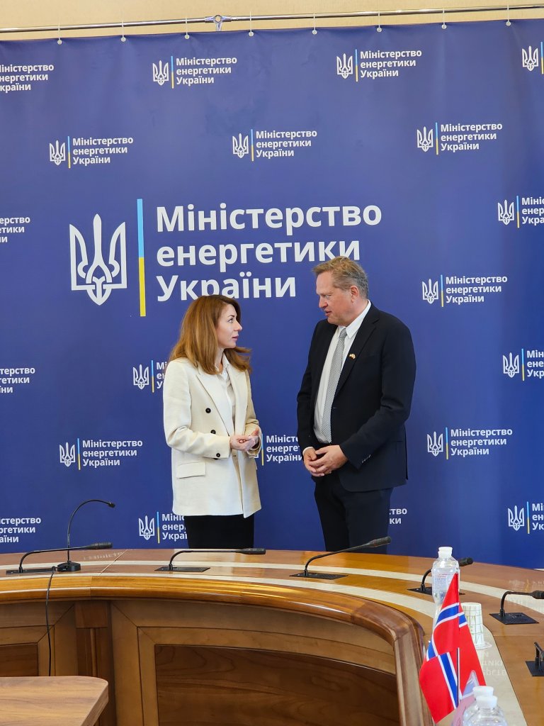 Viseministeren i Ukrainas energidepartement
