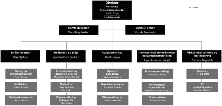 Organisasjonskart over DSA