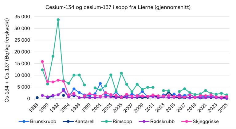Linjediagram som viser utviklingen av cesium-134 og cesium-137 i fem sopparter fra Lierne fra 1988 til 2025. Nivåene er høyest tidlig i perioden og avtar over tid. Rimsopp har gjennomgående de høyeste verdiene, mens de øvrige artene ligger betydelig lavere.
