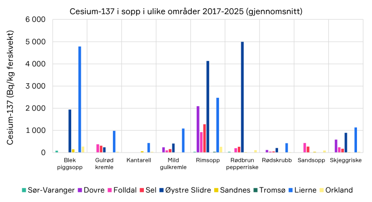 Stolpediagram som viser gjennomsnittlig innhold av cesium-137 i ulike sopparter i ni områder i Norge i perioden 2017–2025. Nivåene varierer betydelig mellom både sopparter og områder. Rimsopp og rødbrun pepperriske har gjennomgående de høyeste målingene, med toppverdier på rundt 5 000 Bq/kg ferskvekt. Blek piggsopp har også høye verdier enkelte steder, opptil nær 4 800 Bq/kg. Kantarell, sandsopp og rødskrubb har generelt de laveste nivåene. Grafen illustrerer store geografiske forskjeller i radioaktiv forurensning av sopp.